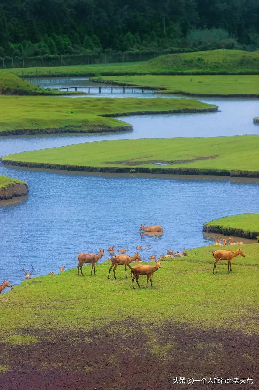 原来它才是江苏最安逸城市，累了就去小住几天