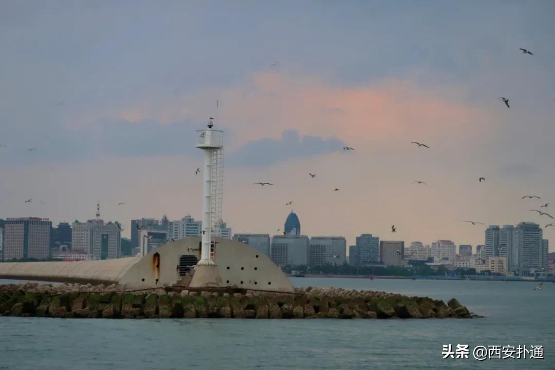 青岛烟台威海玩海攻略,青岛威海烟台大连环线旅游攻略