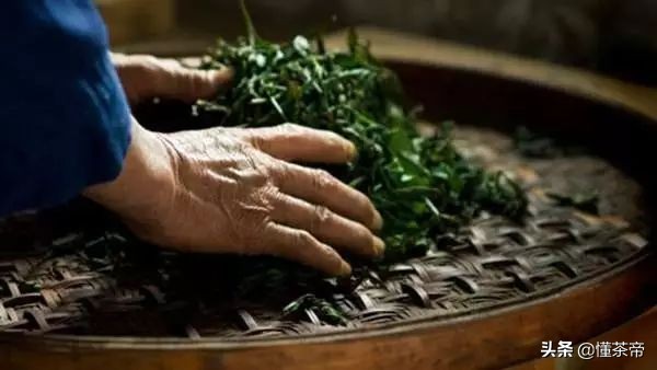 怎么辨别做旧老白茶,学会这6招鉴别新茶和老茶