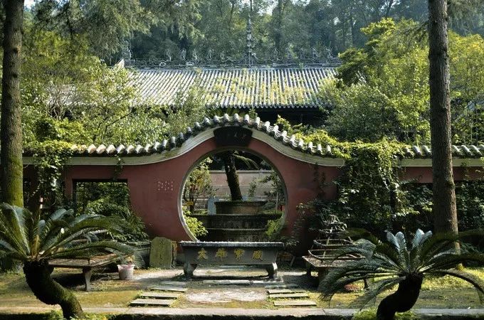 1h飚拢！千年银杏、云海星空、木屋烧烤……这条路线9……