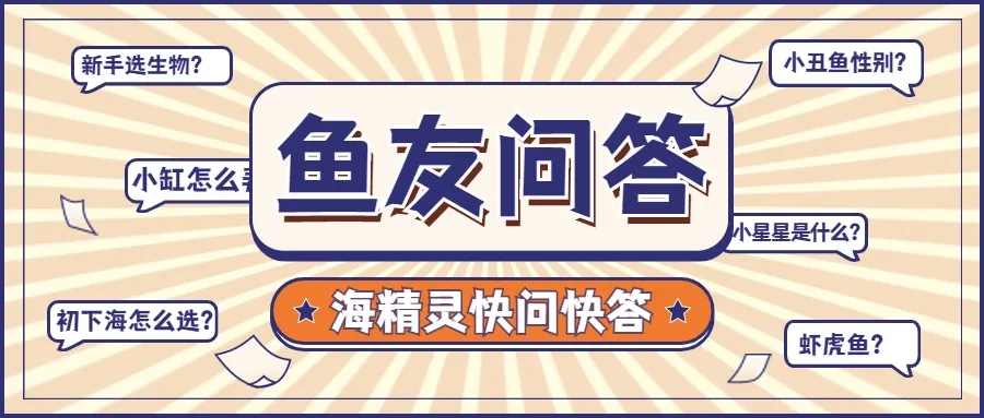 海精灵鱼友快问快答，这些你都知道吗？