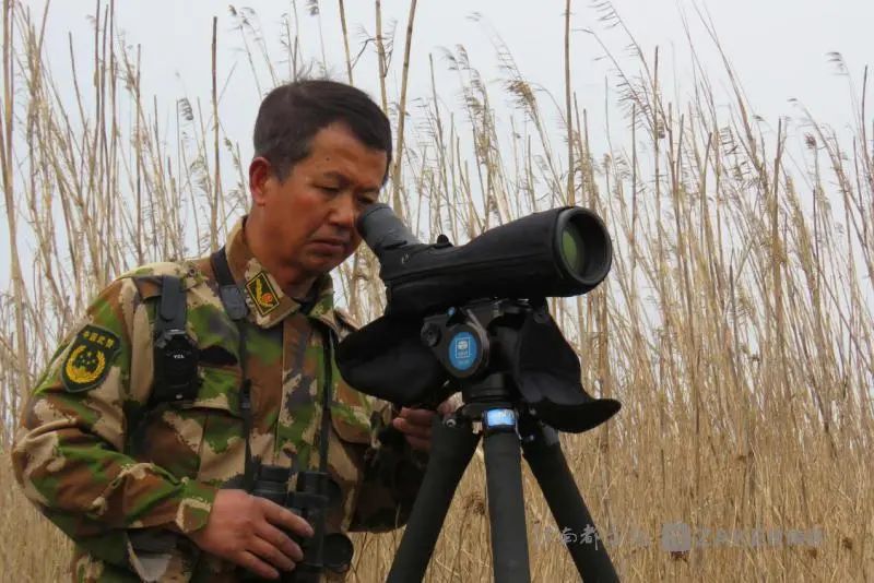 江西真暖！谢谢过年不回家的你！