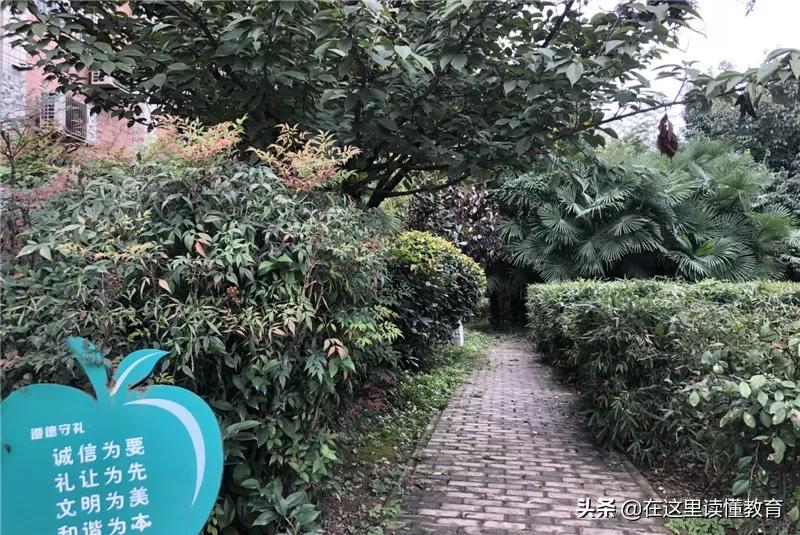 西安郭杜周边有哪些小学,郭杜街道中心学校