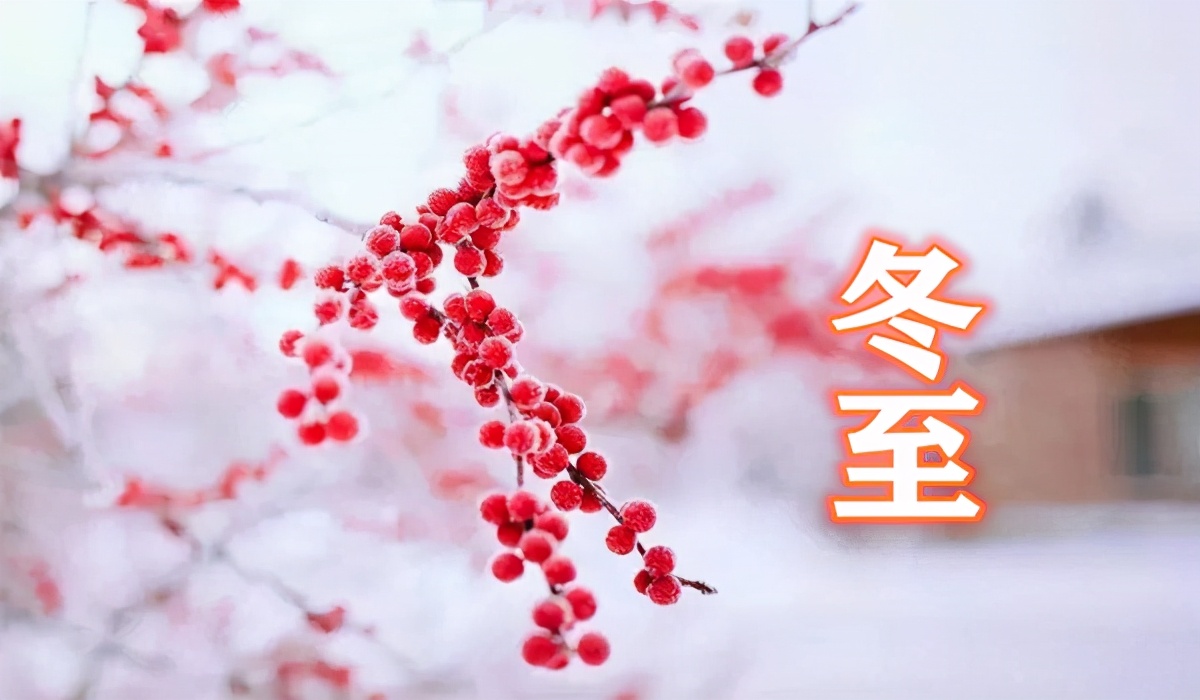 关于月的10首诗,以月为意象的十首诗