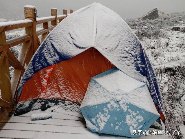 年保玉则现在开放了吗,年保玉则为啥被封