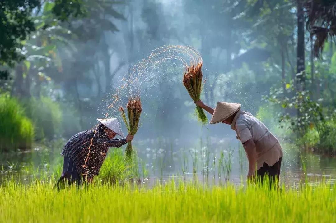 致敬每一位辛勤劳动者的话,致敬每一个努力奋斗的劳动者