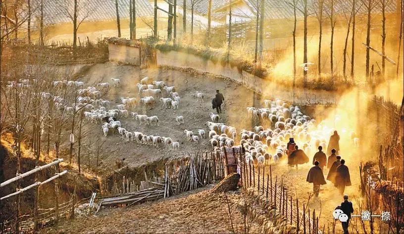 什么样的照片可以放到屏幕上,什么样的照片容易获奖