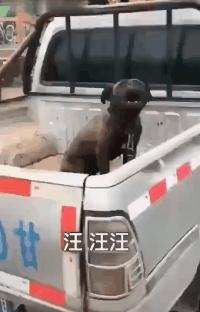 老婆在网上买了件衣服,老婆买了条裙子