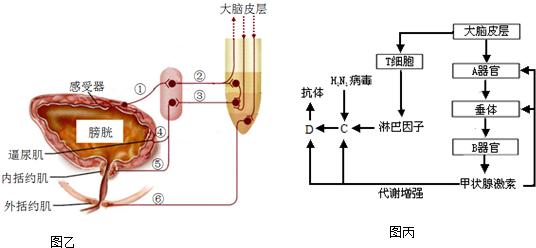 单味药功效总结与口诀,调理口渴口干的名方