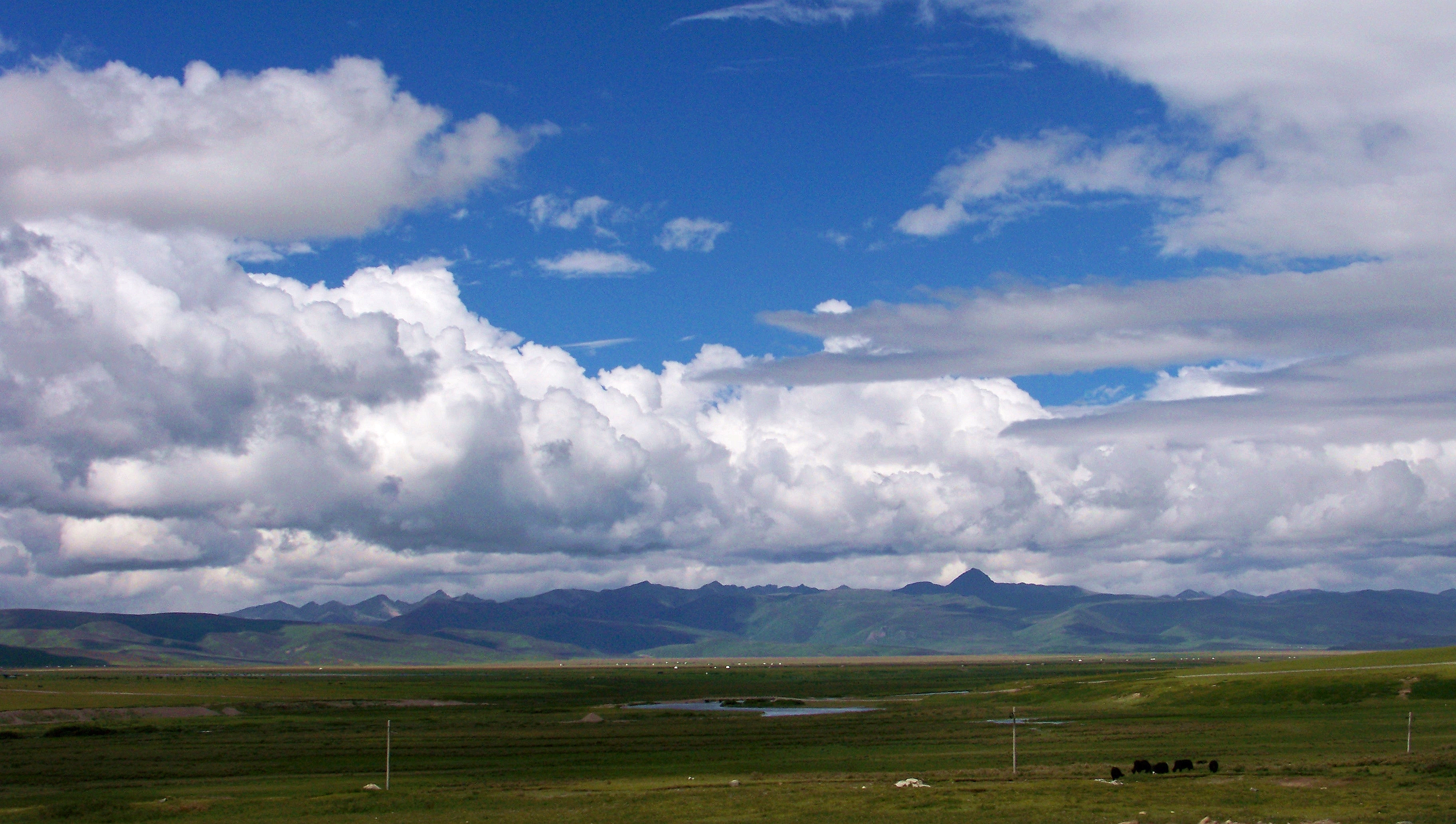 （一）我的藏地明码：九年前烂路相伴的G318；15天川进青出甘南回