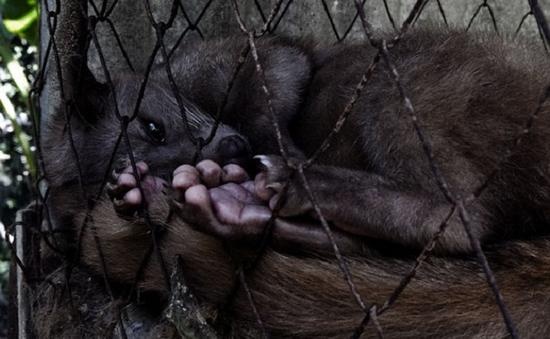 为什么有的人会喝很浓的咖啡,为什么有人喜欢喝猫屎咖啡