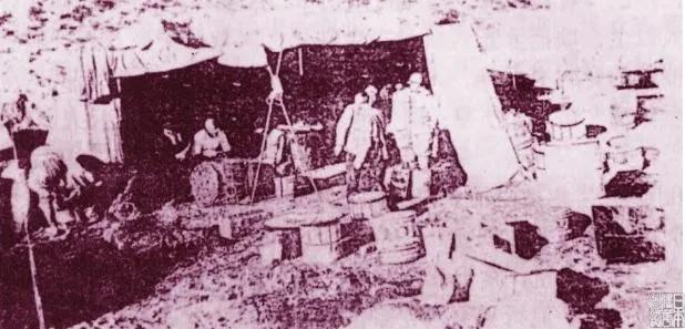 当年的鼠疫是怎么处理的,1910年东北鼠疫怎么治愈的