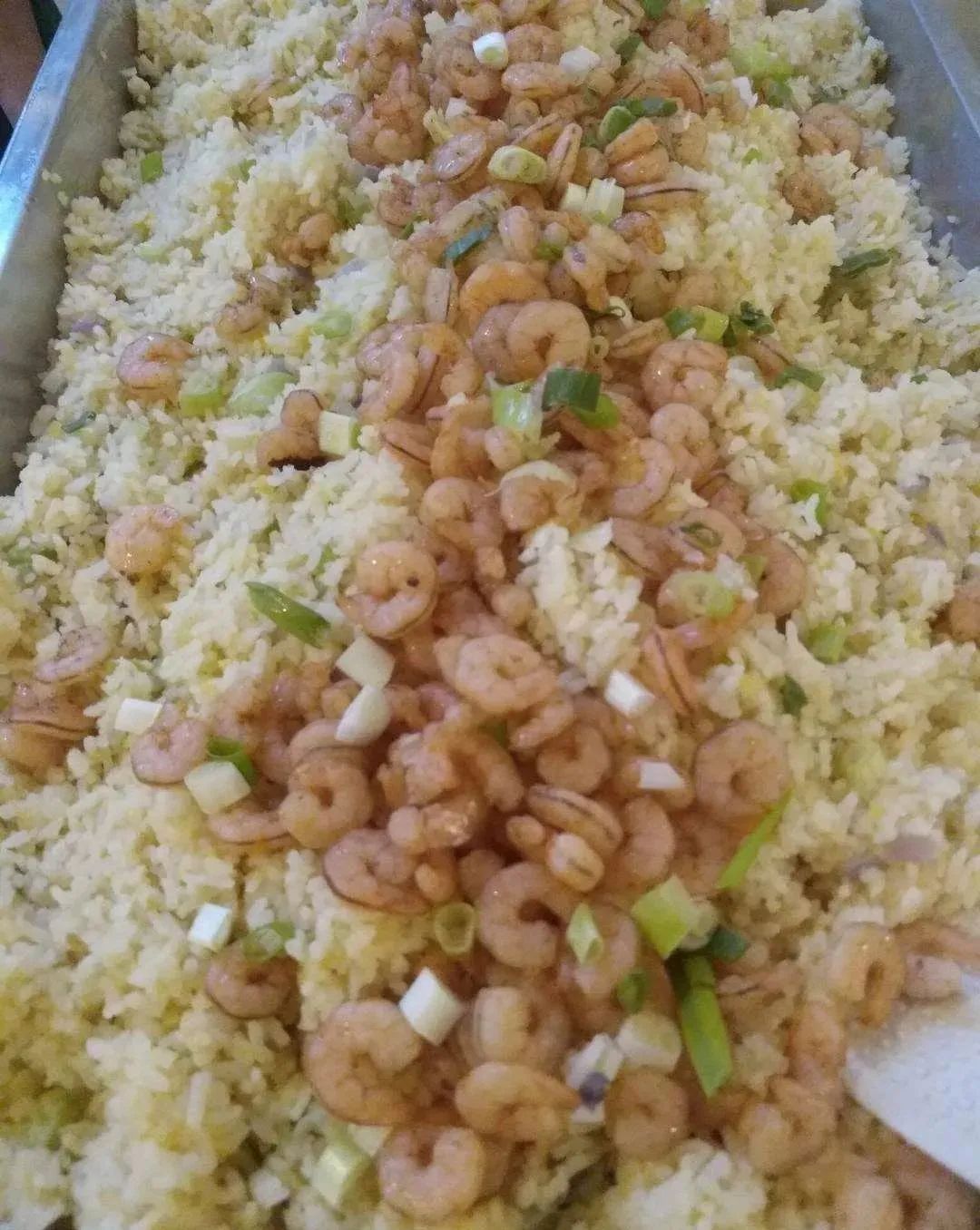 菲律宾游学记英语,菲律宾旅行游记