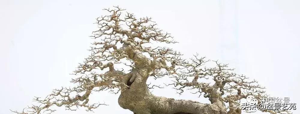 鏈存爲寰楀鐩嗘櫙,椤剁骇鏈存爲鐩嗘櫙娆ｈ祻