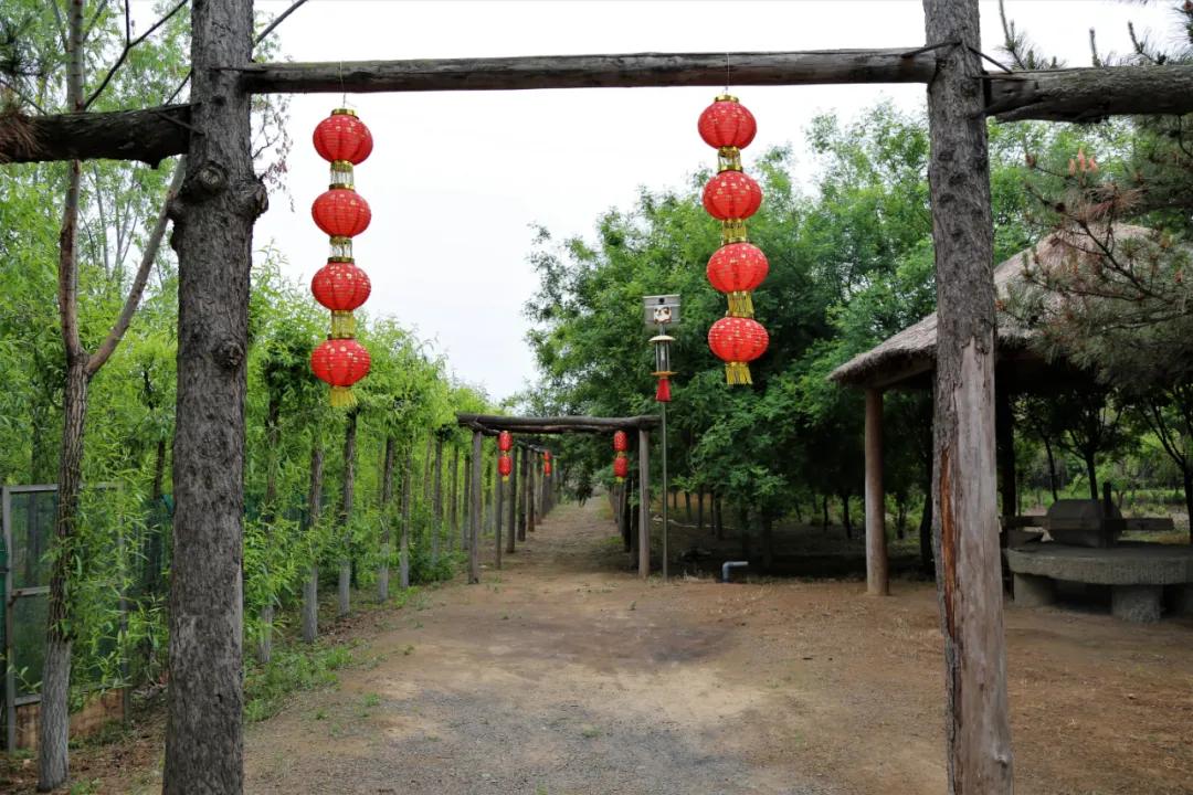 赏鹊林叠翠游魅力李鹊——“好品李鹊”杯短视频大赛开始啦