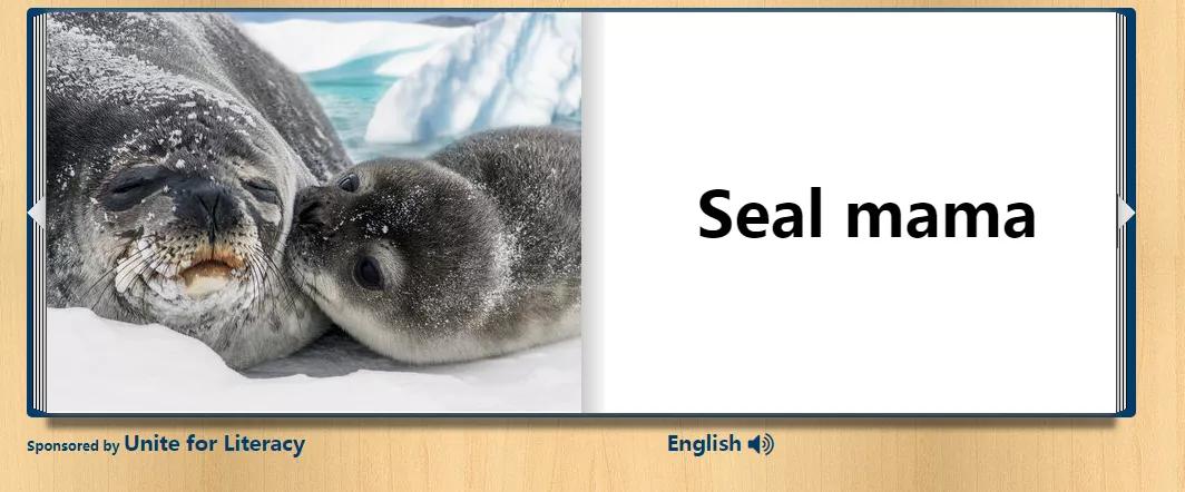 十大有趣的宝藏网站,十大实用宝藏网站