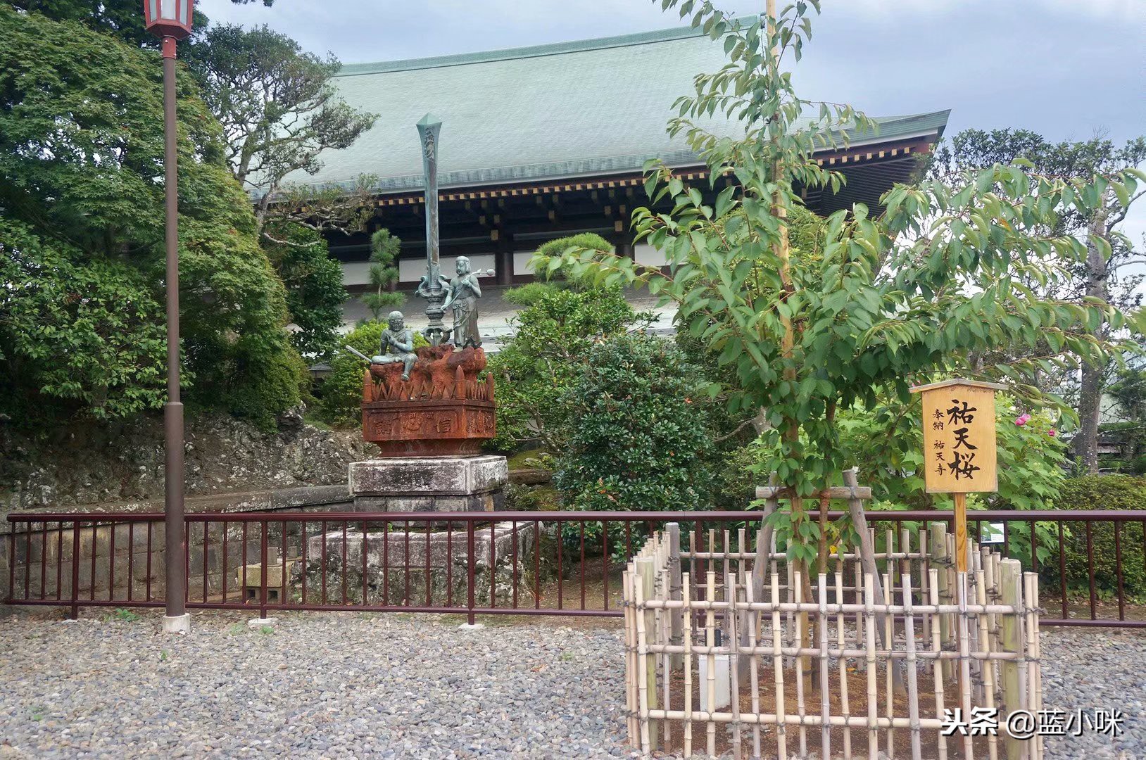 日本自由行7天看富士山,东京自由行攻略东京富士山自由行