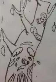 一分钟搞定看图写话,看图写话没思路了怎么办