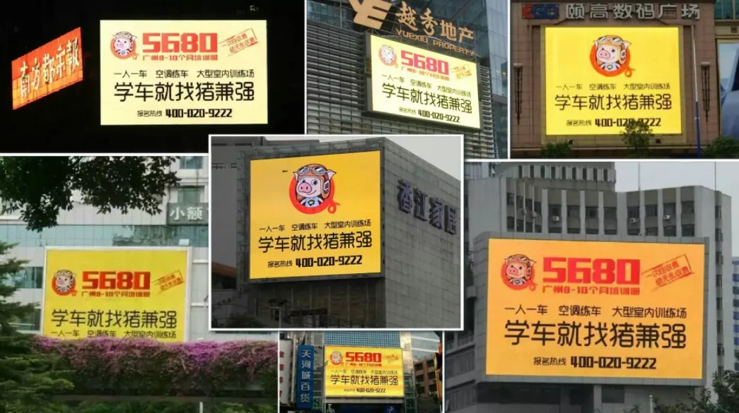 网红驾校破产,猪兼强驾校破产了学费还能退吗