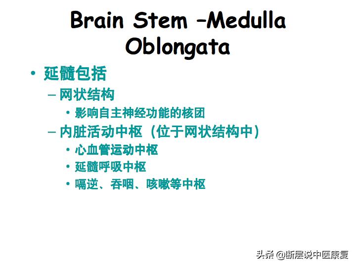 中枢神经系统断层解剖讲解,中枢神经3d解剖动画