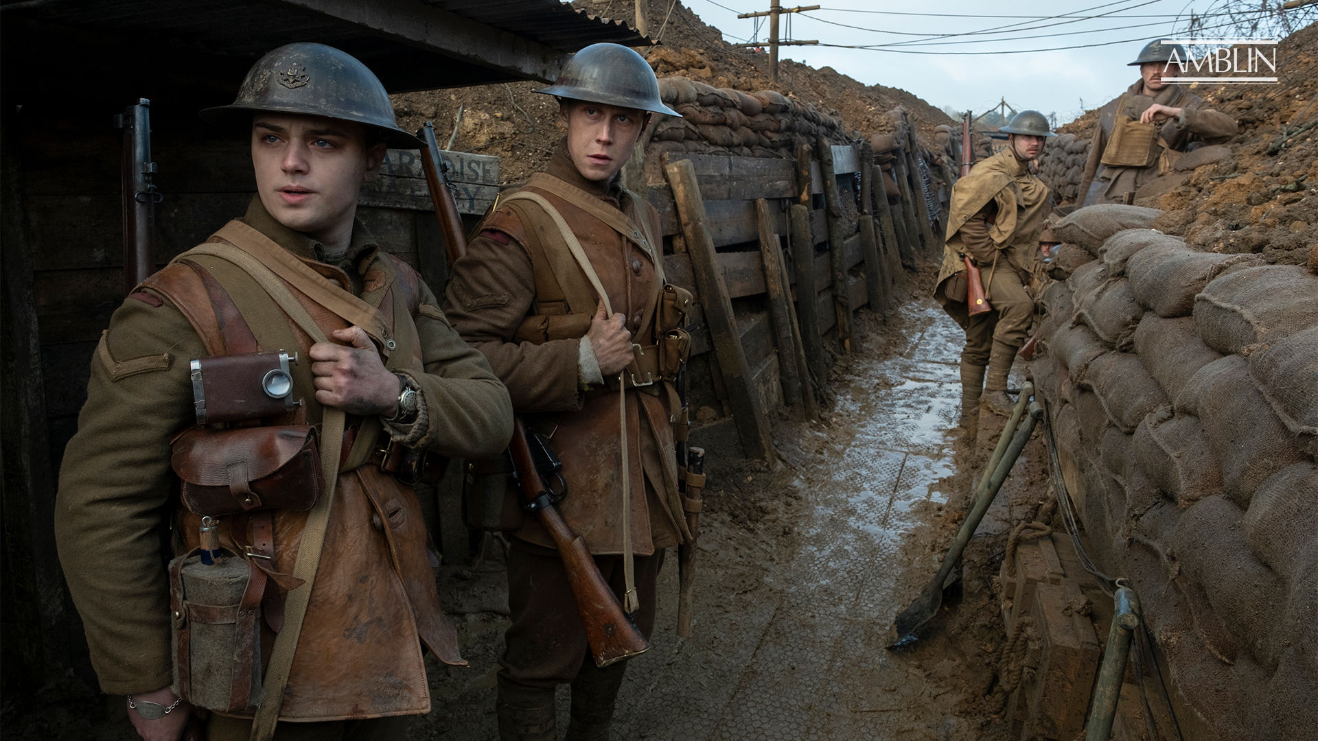 寄生虫对奥斯卡评价,横扫奥斯卡寄生虫的细节