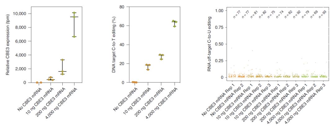 遗传病突破,基因治疗单基因遗传病