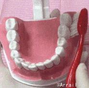 美白牙齿5个小窍门亮白牙齿,牙齿发黄不用愁教你一招美白牙齿