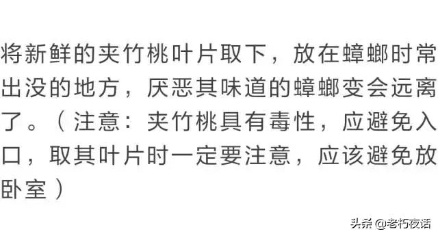 十种驱蟑螂的有效方法,驱虫药驱蟑螂真的有效吗