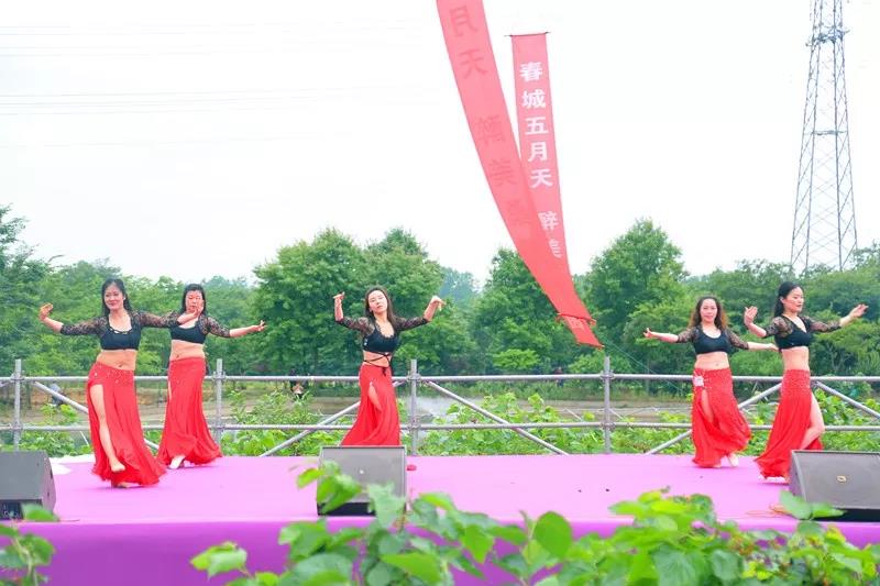 八方游客齐聚桑果紫酒节，共赴这场采桑品酿盛会