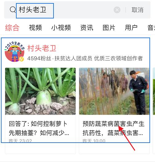 作物磷素过剩的危害,缺硫应施什么肥