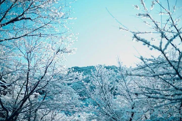 每日一校|日本私立最高学府——早稻田大学