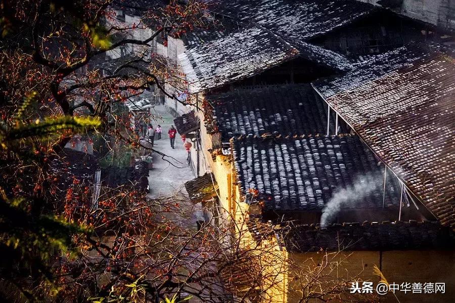 留几枚柿子在树上吧,让感恩变成一种习惯