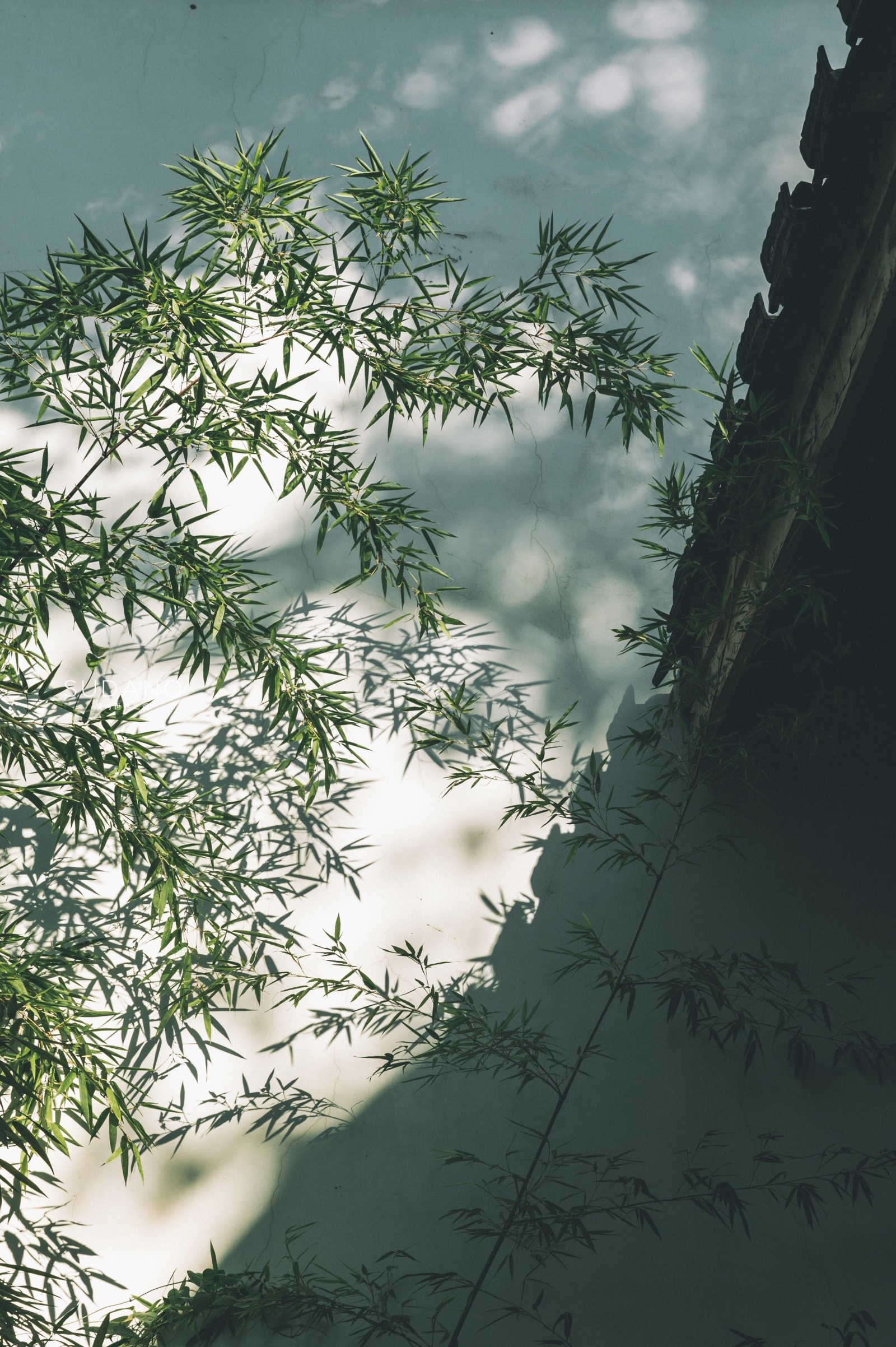 武汉真的是很美的城市,武汉最漂亮的园林