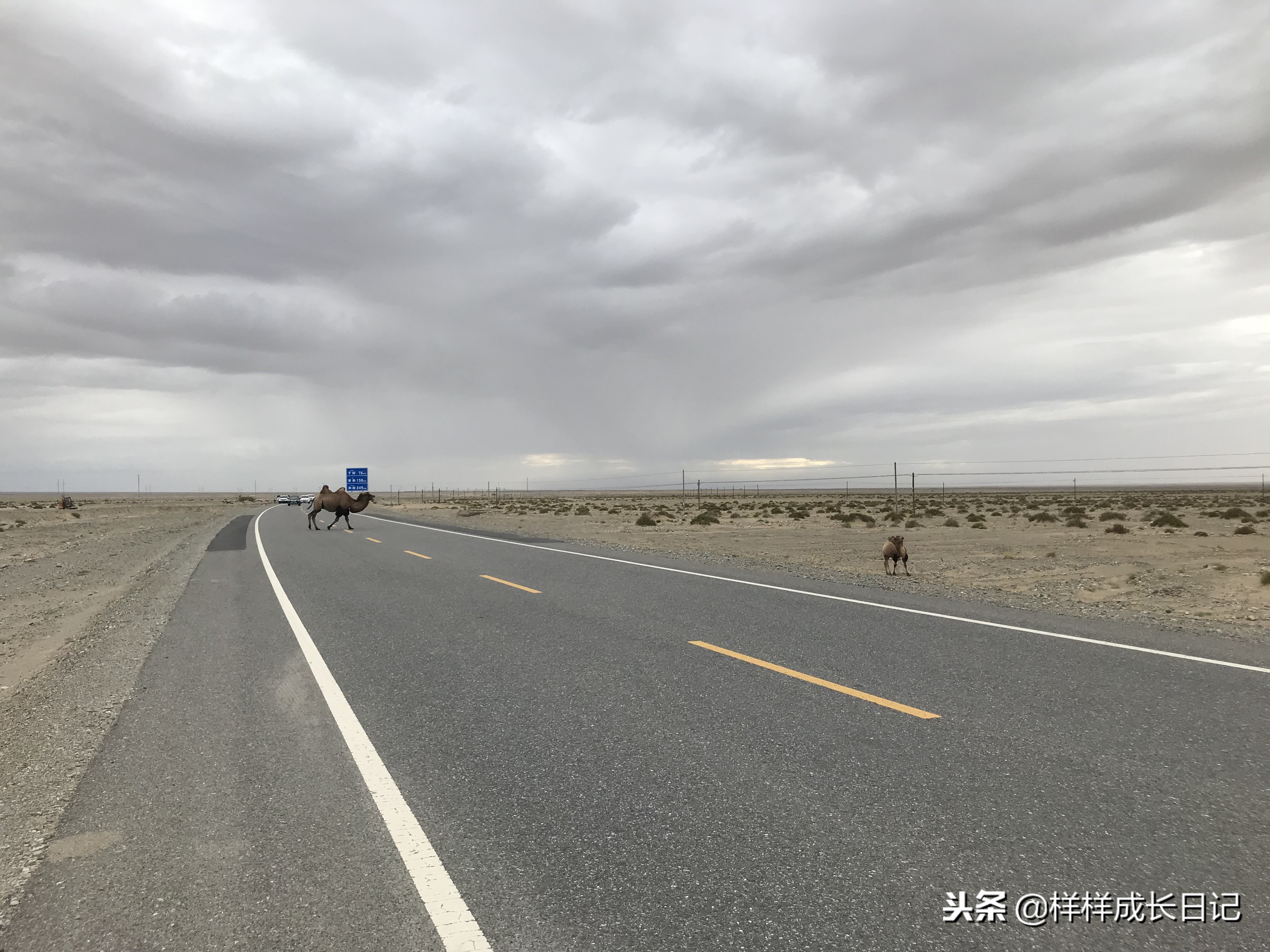 最新版新藏线叶城拉萨骑行攻略,219新藏线自驾游从叶城出发