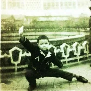 西装暴徒张晋2018,西装暴徒张晋武英级