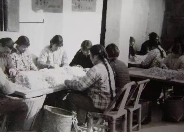 浜旈緳娼姳搴楄,椴佸畨娴庡崡蹇嗘棫