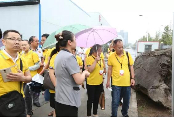 南洋迪克08009,南洋迪克家具都有什么木料