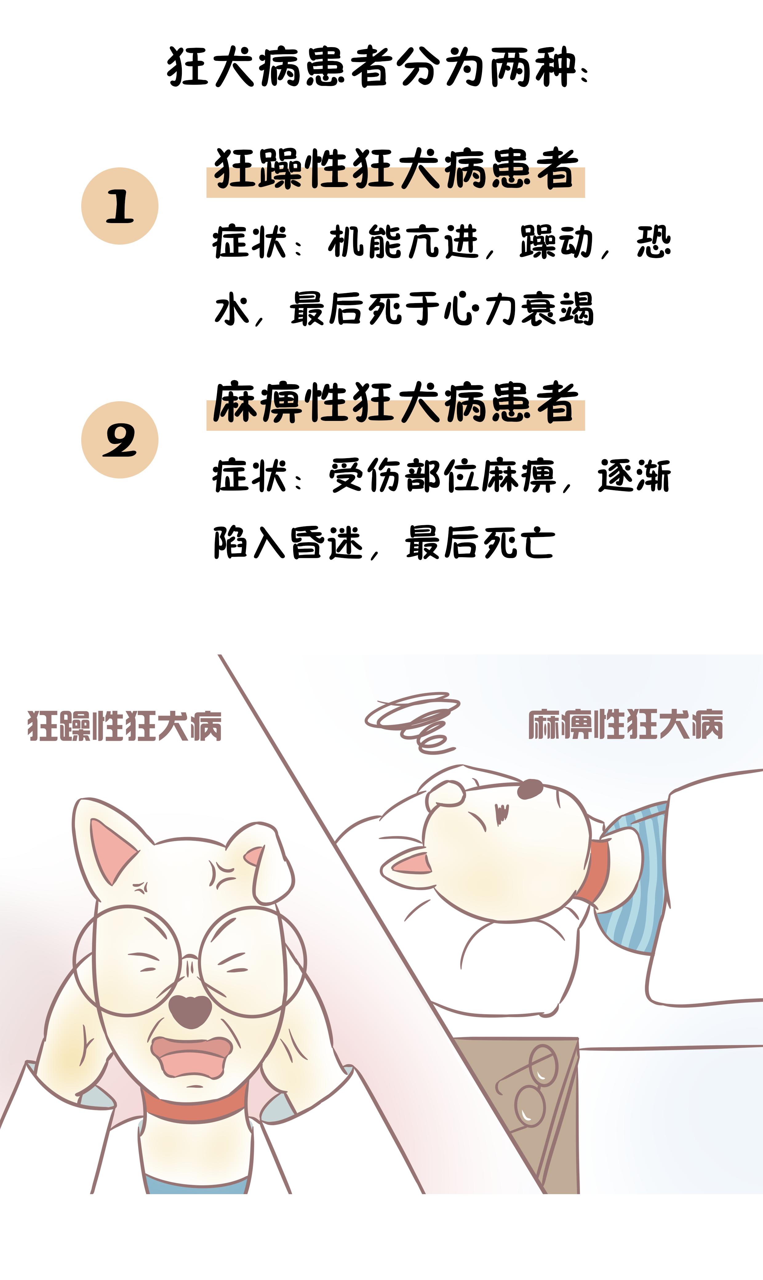 狂犬病发作有什么症状会学狗叫吗,染上狂犬病真的会学狗叫吗