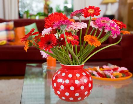 赵友辉散文：寻找一片栖息地