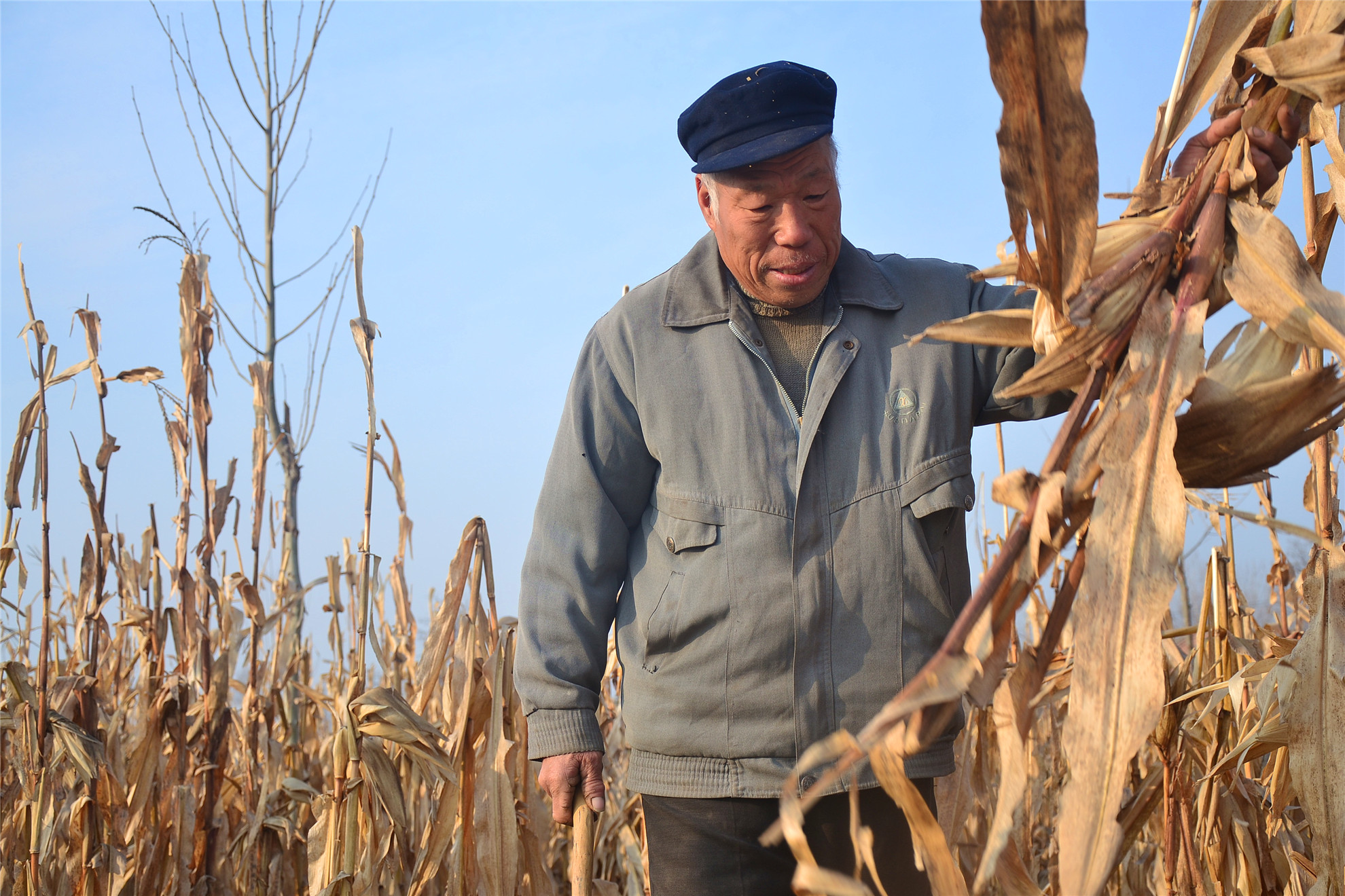 农村人创业的真实经历图片,80后农民创业记录