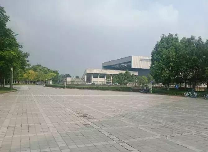 体育馆内的超绝颜值,成都双流体育场