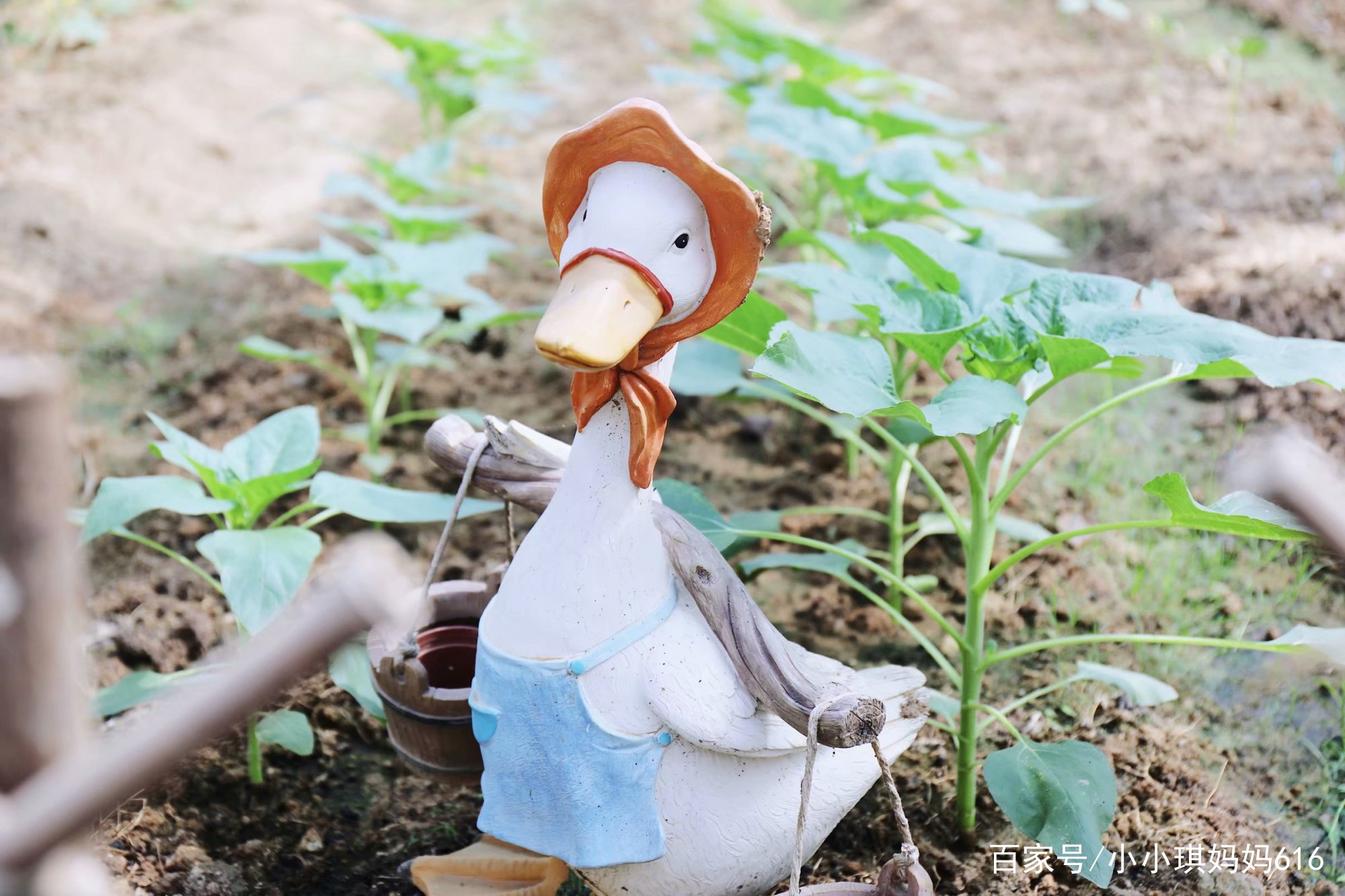 南京周边适合小众安静的旅行地,南京周边一天度假最好的地方