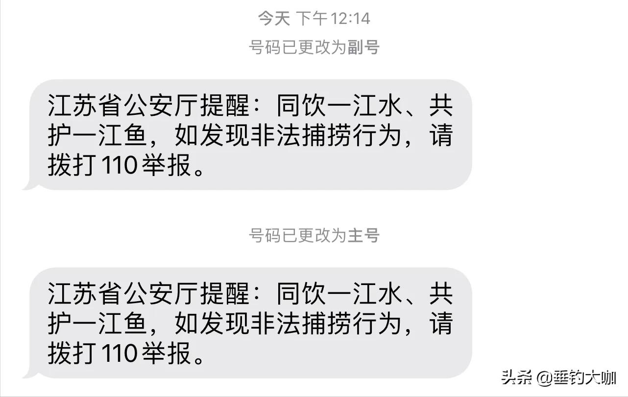 鸬鹚捕鱼为何被禁止,鸬鹚捕鱼危害有多大