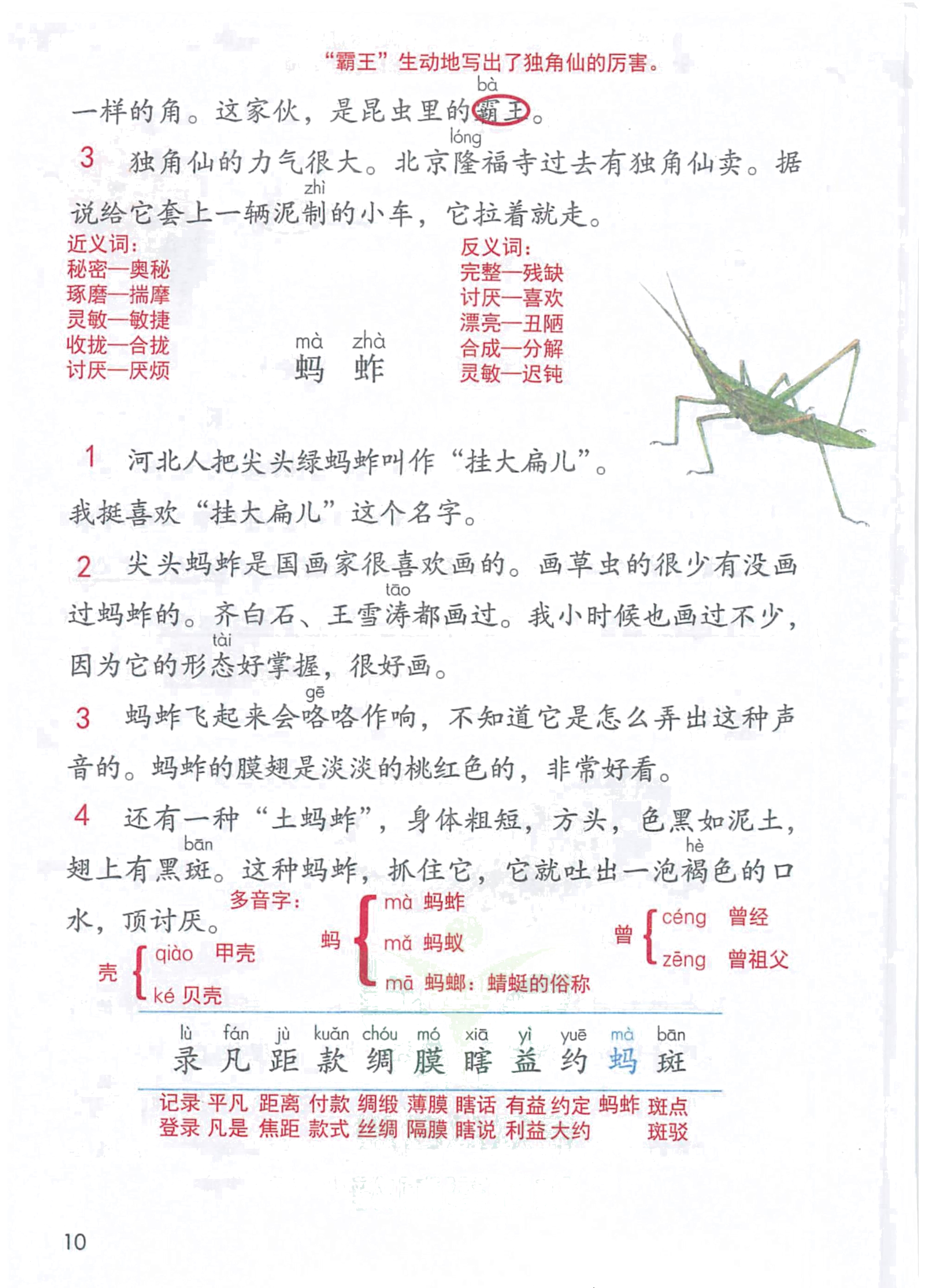 三年级语文下人教版第一单元笔记,三年级语文下册笔记完整版三单元