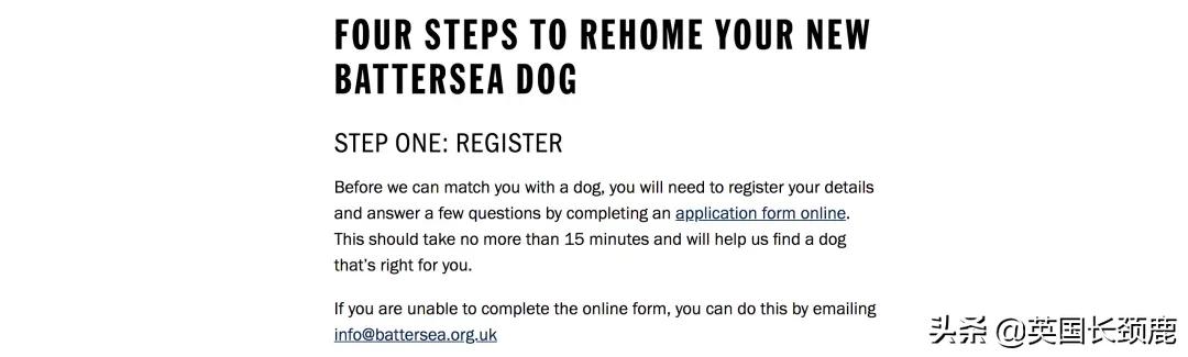 在英国哪里可以买宠物,英国如何饲养宠物猫咪