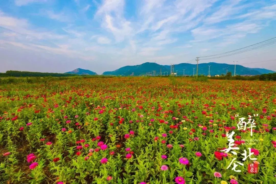 北仑旅游攻略大全集,北仑旅游攻略