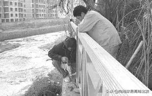 全套景观安装施工三维图解,钢结构景观亭施工工艺