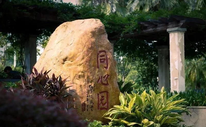 广州医疗实力全国第几,华南最强医院