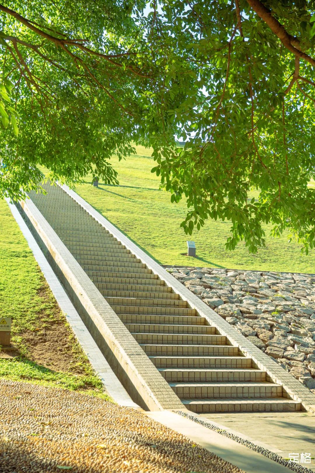 深圳梅林水库有山溪吗,深圳梅林水库在哪个区