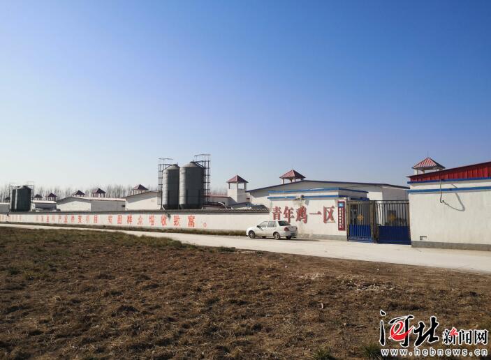 河北脱贫攻坚,图文直播张家口一中